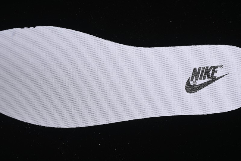 Nike Dunk Planet Space Gray Low Top Casual Sneakers - DD1391-100