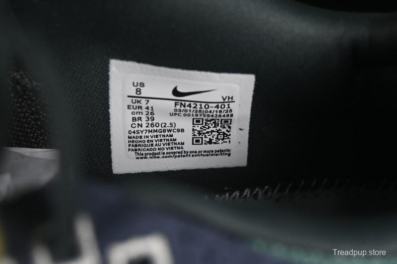 Nike SB Day One Low Casual Skate Shoes - FN4210-401